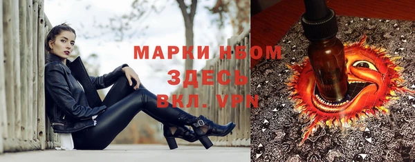 метадон Алексин